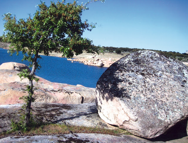 Agua, roca y roble, Inés Mª del Arco